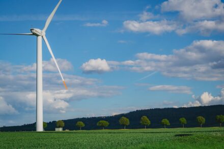 Greenwashing, czyli jak firmy ratują swój wizerunek